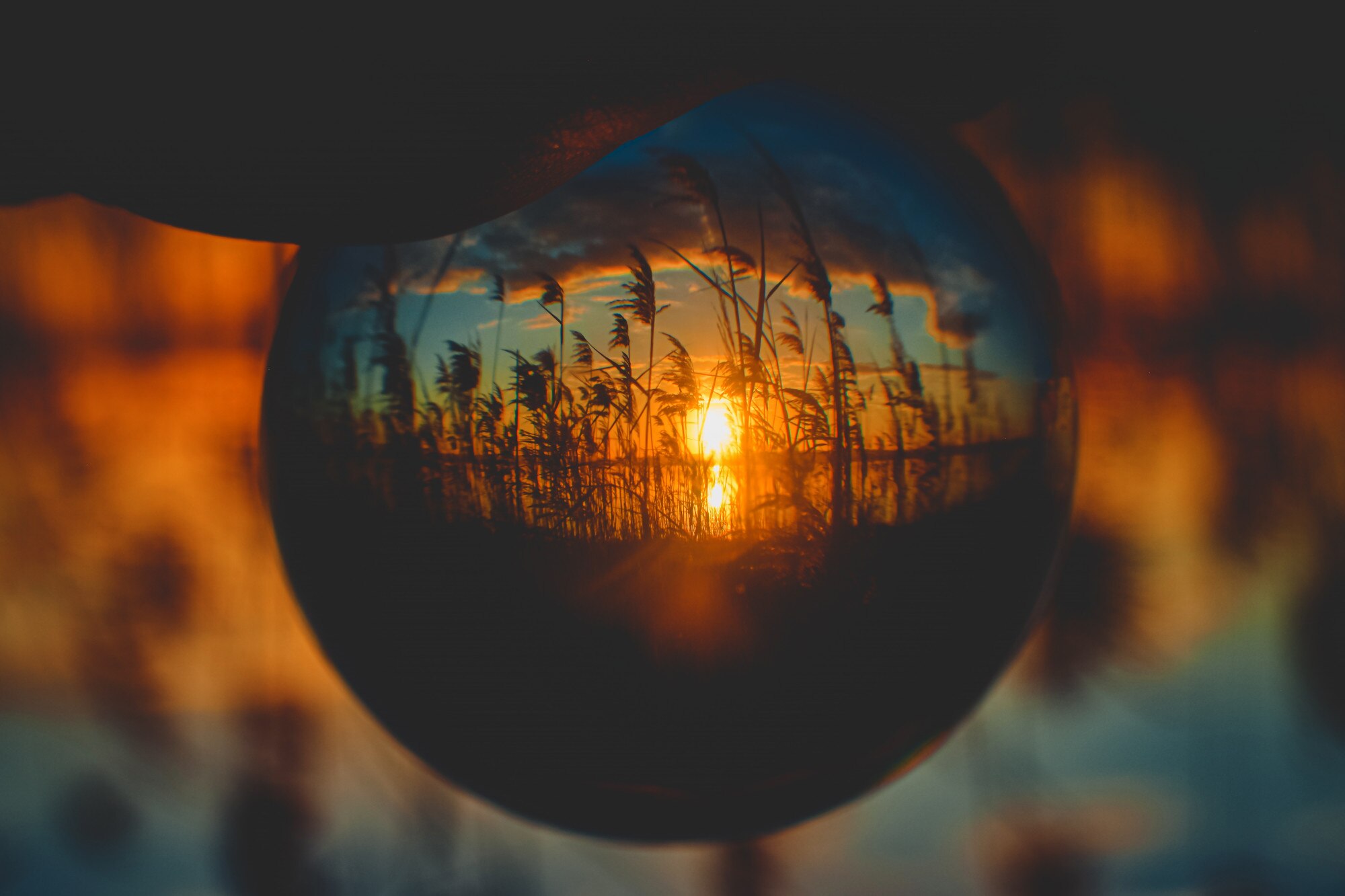 Luz y visión